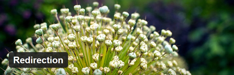 Redirection - 12 najlepszych wtyczek WordPress