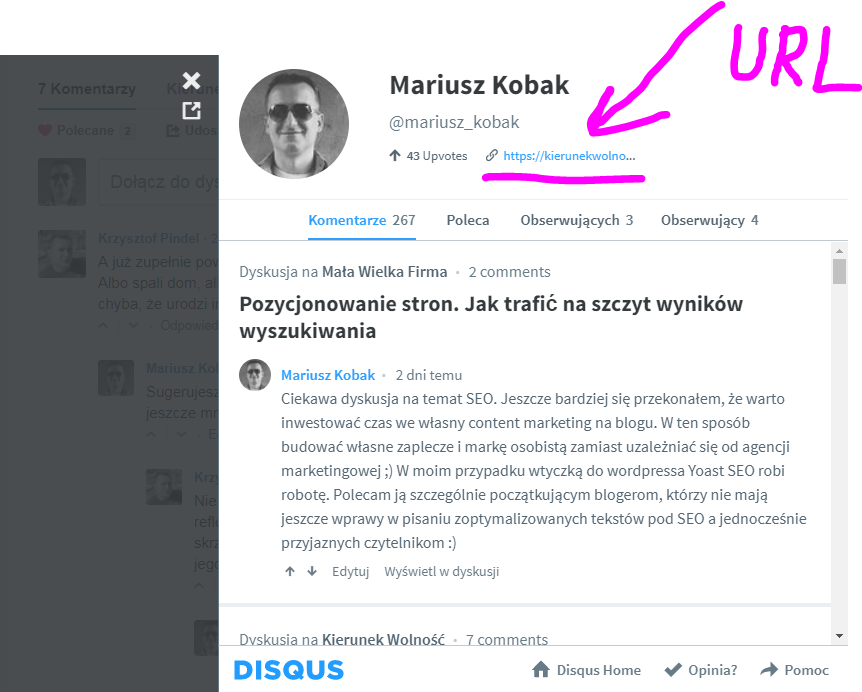 Disqus system komentarzy na blogu URL